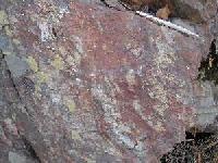 Silicified Mudstone