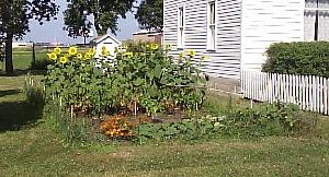 Heirloom Garden